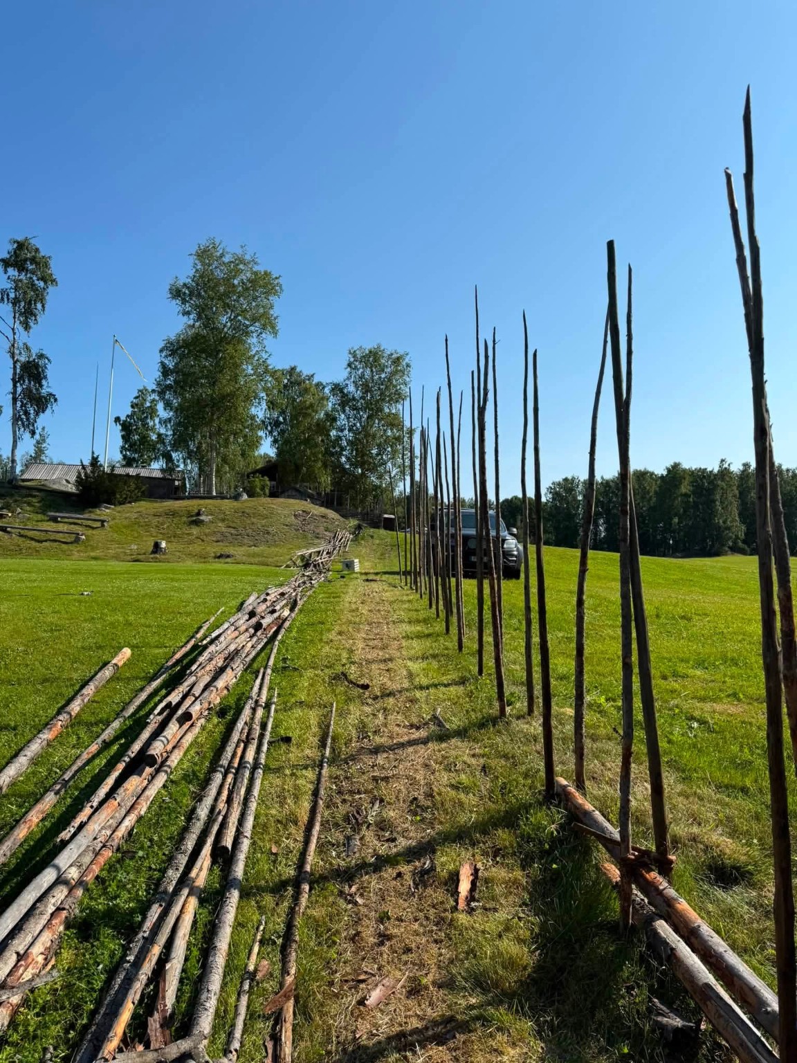 Gärdsgård under uppbyggnad på ett fält