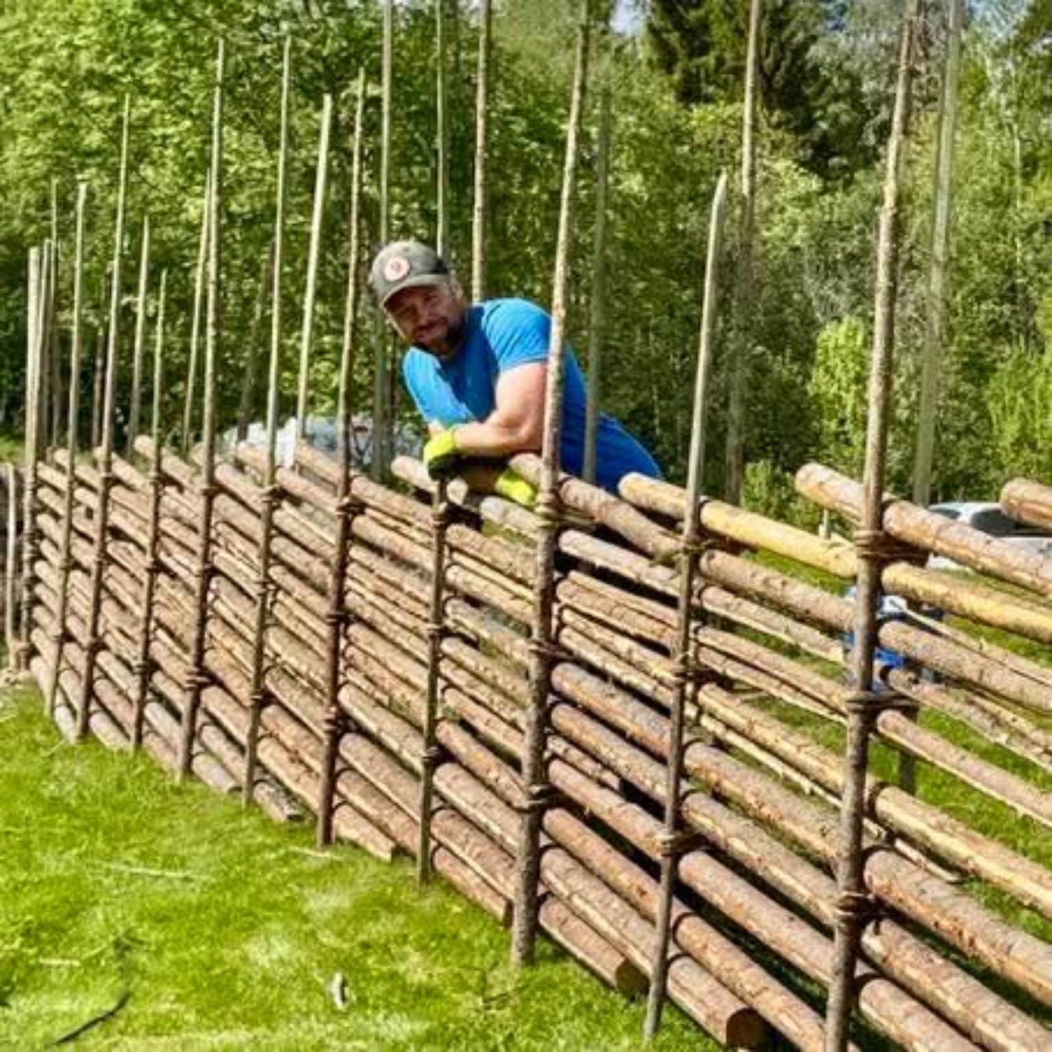 Hantverkare som bygger en traditionell gärdsgård